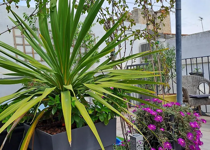 Le Petit Patio